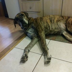 Meet your Posher, Danielle